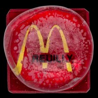 Paris-Reuilly Diderot (374)